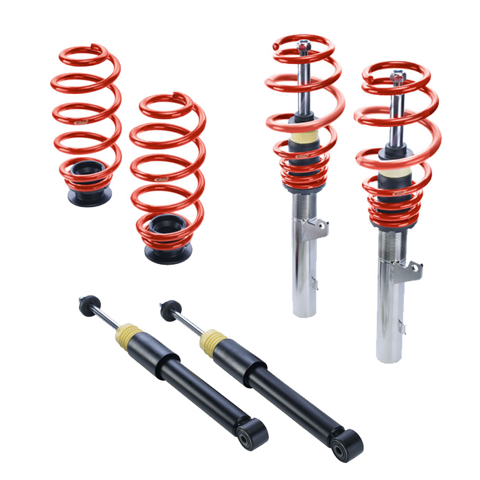 Eibach coilover PSS65-79-016-01-22 Pro-Street-S for Skoda